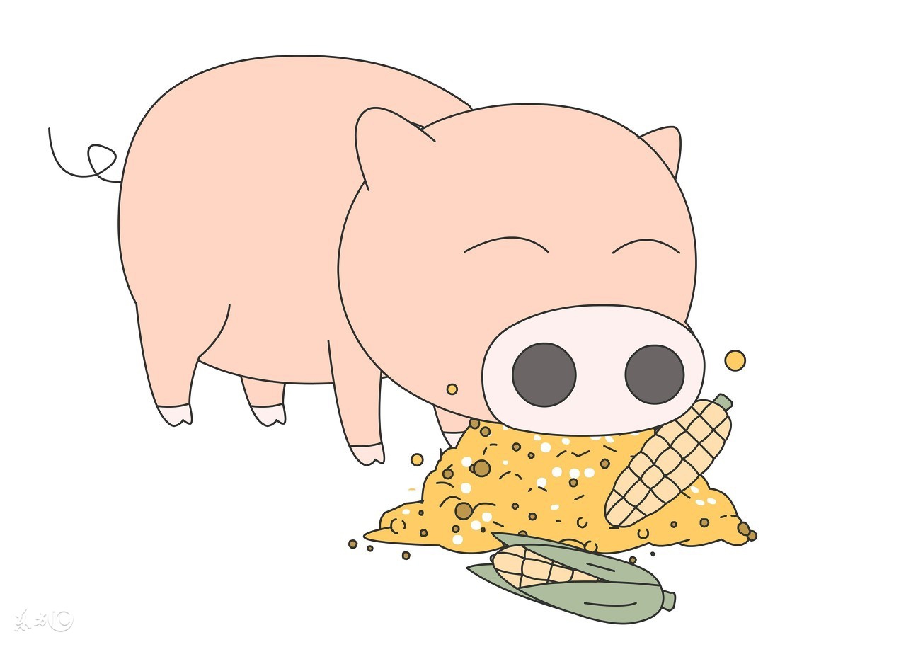 94属狗女与属猪男的最佳婚配属相,属相猪婚配什么属相最好