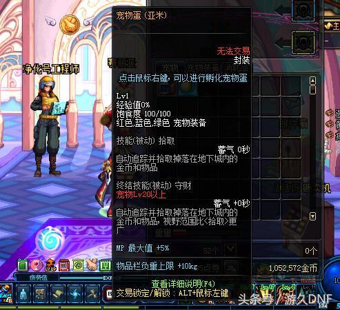 dnf搬砖神宠,dnf搬砖称号和宠物推荐