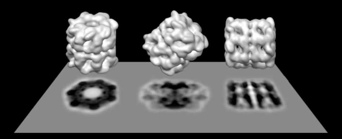 冷冻电镜哪年获得诺贝尔奖,最不务正业的科学家