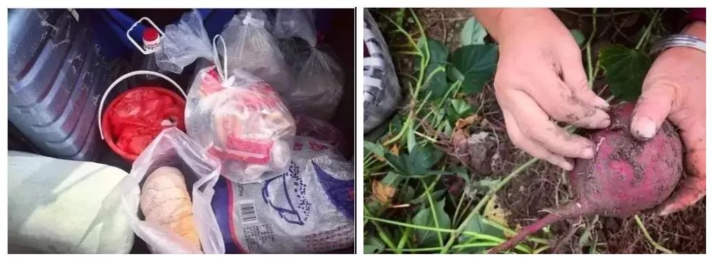 有一种爱叫你妈喊你穿秋裤了,你妈喊你穿秋裤啦图片