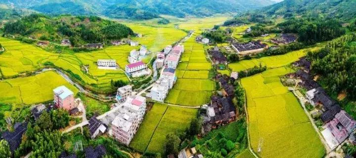 西华县有多少年的历史了,西华古村