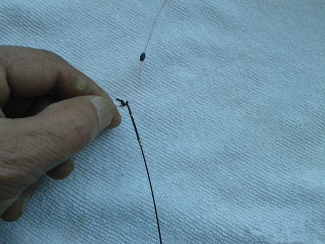 太空豆起什么作用,太空豆没线怎么利用