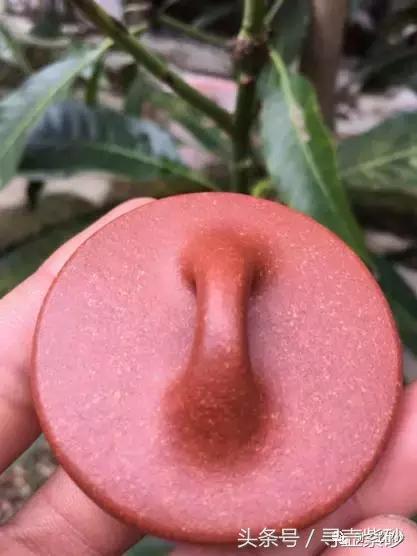 壶说价格,壶说仿古