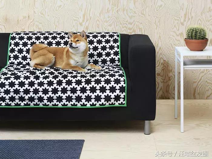 宜家宠物家具效果图,宜家宠物专区有哪些