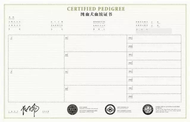 出生纸是什么,出生纸