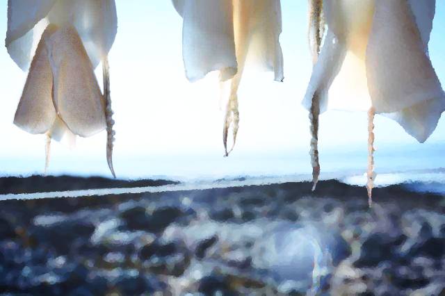 出川旅行记音乐,出川记