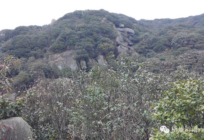 肇庆七星岩洞穴探险,广东肇庆七星岩自驾游攻略