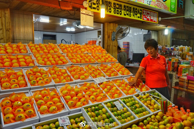 济州自由行,济州岛游记推荐