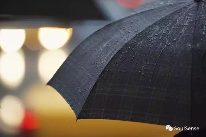 低调又不失奢华的雨伞,高档收藏雨伞