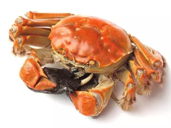 哺乳期能不能吃螃蟹呢,哺乳期可以吃螃蟹可以打预防针吗