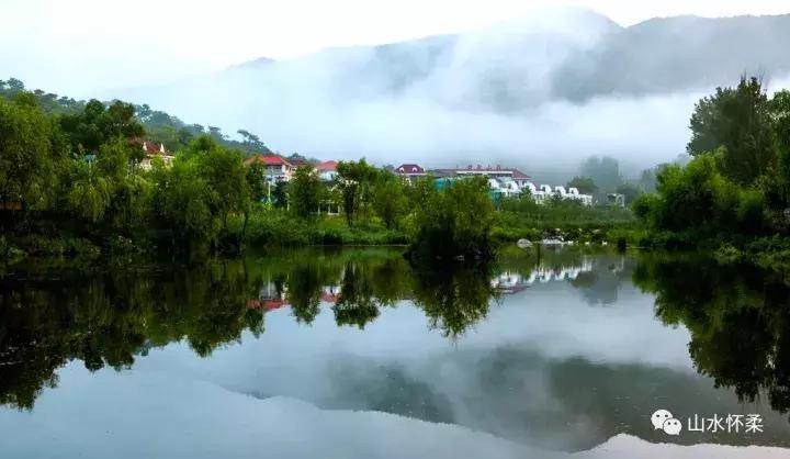 聚焦烟台黄渤海新区,聚焦烟台莱州辛庄