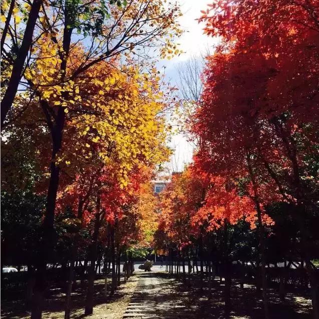 长春冬季最美拍照地,长春有一个很适合拍照的地方