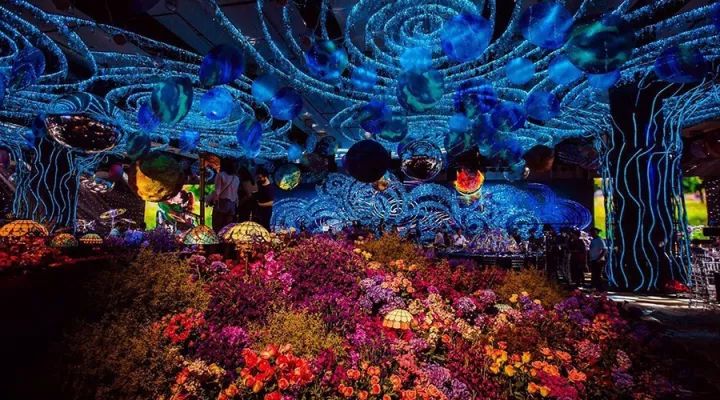 1400支小玛歌,200支西施佳雅,不是酒展,是温州土豪婚礼!