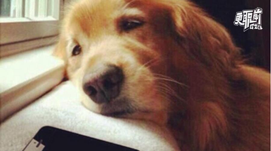 为什么你的工作这么惬意,不是工作太无趣而是你太被动