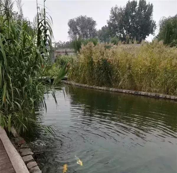 百年大宅门!传奇打磨厂!