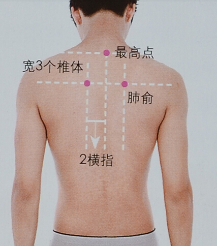 人体穴位大全全身高清穴位图,全身最重要的74个穴位讲解附图