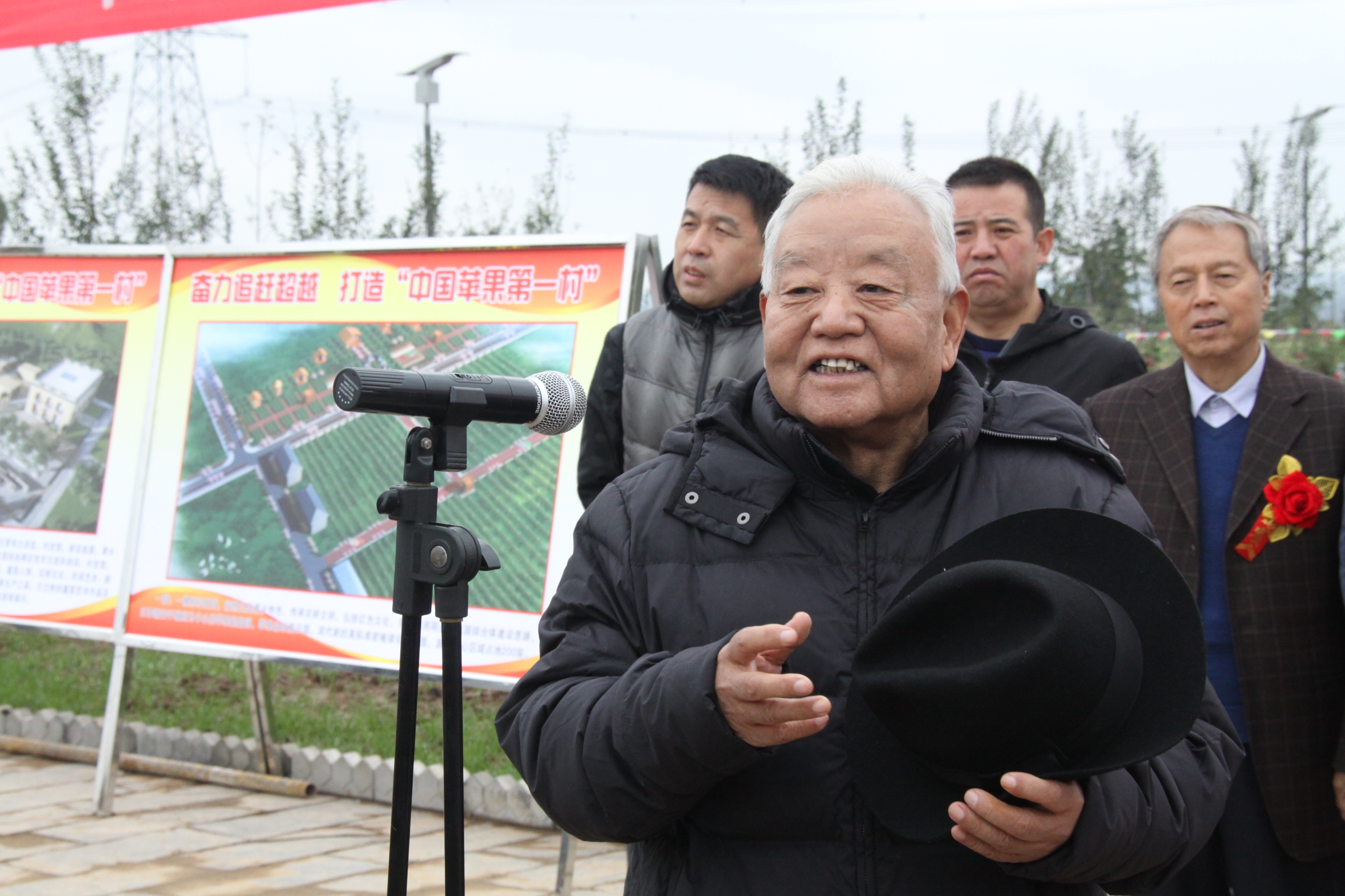 最新的洛川苹果,新的洛川苹果