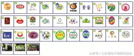 农村电商发展亮点工作总结,山东省农村电商模式