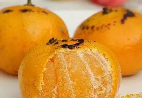 咳嗽滴尿是什么原因怎么解决,宝宝一直咳嗽的原因有哪些