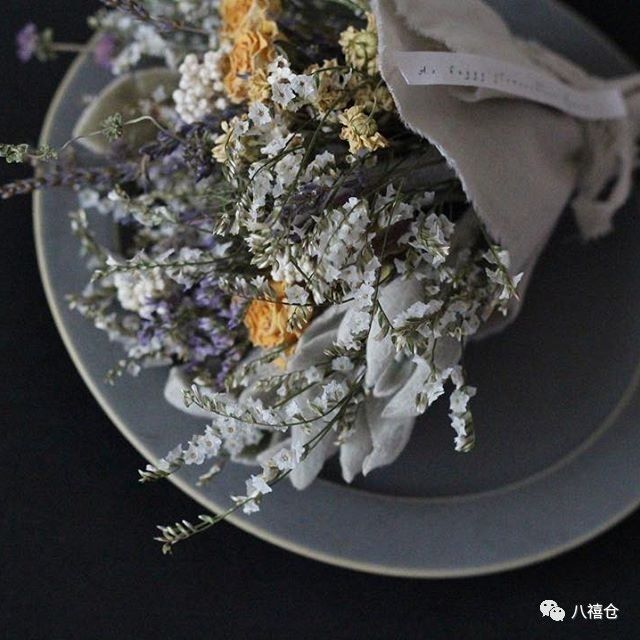 干花的颜色和品种,干花的形态分类