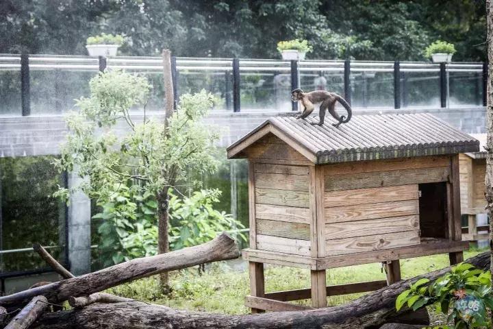 广州动物园的地图,广州动物园下一站去哪里