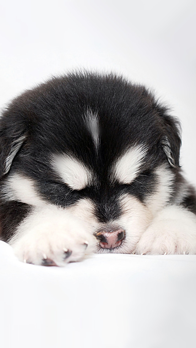 唯美1080×1920P高清壁纸锁屏画面待机背景图！请在wifi环境查看