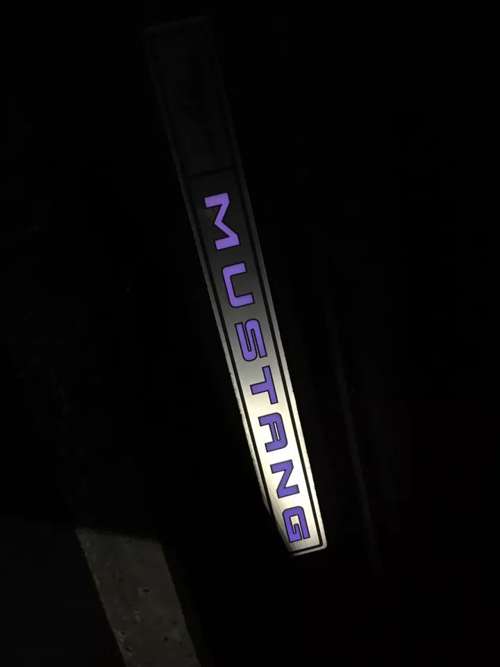 北美野马,试驾福特野马