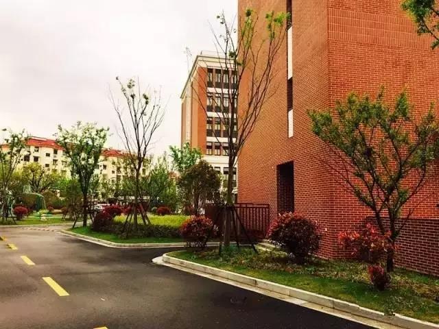 霸气！又被点名！上海这5所学校要火到全国了！