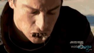 贝爷荒野求生吃恶心的东西,贝爷恶心的十大时刻