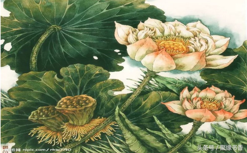 「聚缘书香」百悟百味人生，心宽一寸，路宽一丈，值得品味（中）