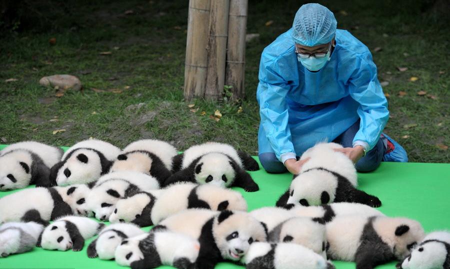 每天被人抱在怀里是什么感觉,每天都在抱大腿日常