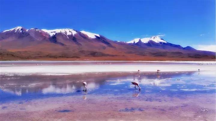 自驾游穿越南美洲,玻利维亚旅行