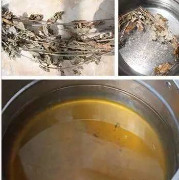 艾草煮水洗头能治银屑病吗,用艾草水洗头后长出头发