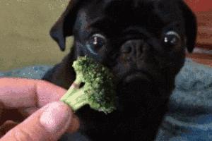 国庆去了趟迪拜，发现有钱人都在喝这个