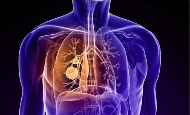 婴幼儿dha海藻油一岁,婴幼儿dha藻油列表