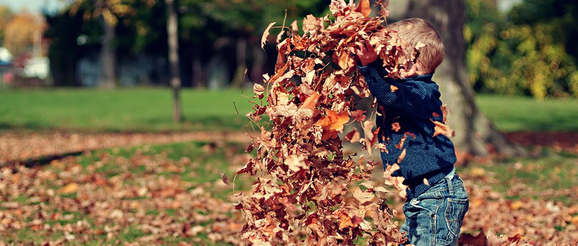 我们对比了30款儿童意外险……