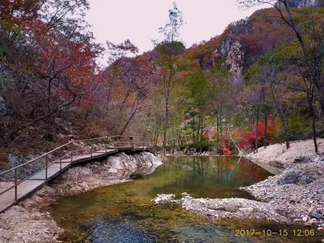 新鲜出炉~赏枫HOT！百名摄影家齐聚庄河天门山