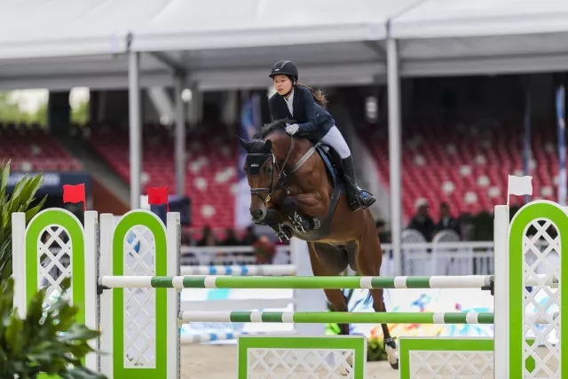 快乐骑马视频播放,快乐骑马术完整