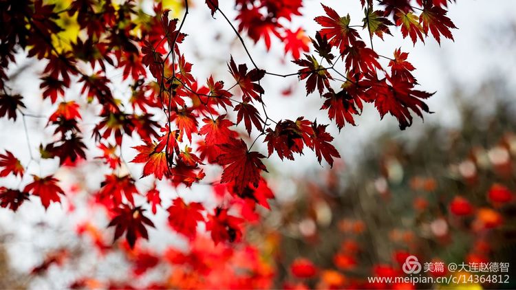 庄河天门山有哪些景观,庄河天门山全景