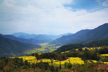 张阿婆结局,张阿婆传统