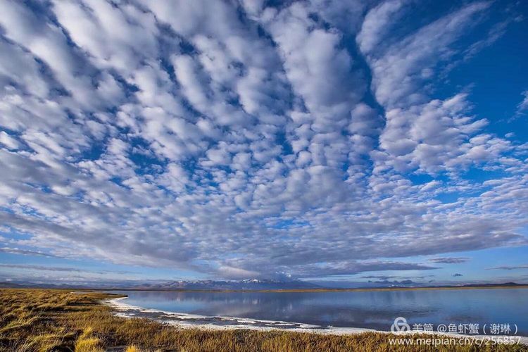 只要能去*藏西**,头痛高反什么的都不care