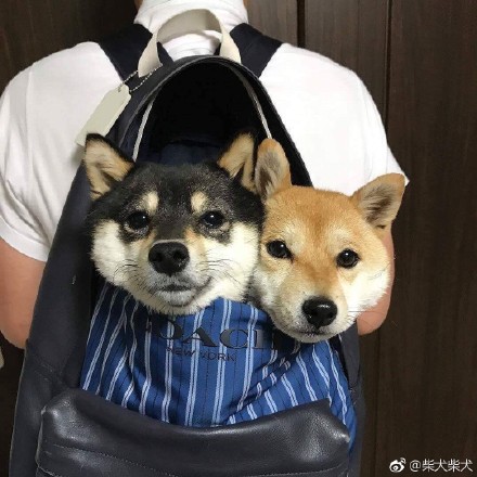 美女朋友圈晒旅游照,女生在朋友圈晒出旅游照片