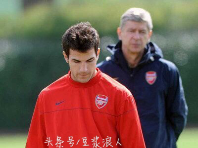 法布雷加斯历史最佳,法布雷加斯老了吗