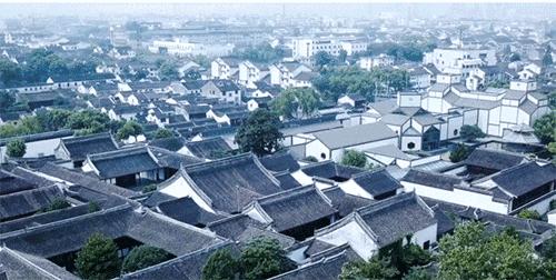 2800+岁!这些美食老店加起来远超姑苏城的千年历史！