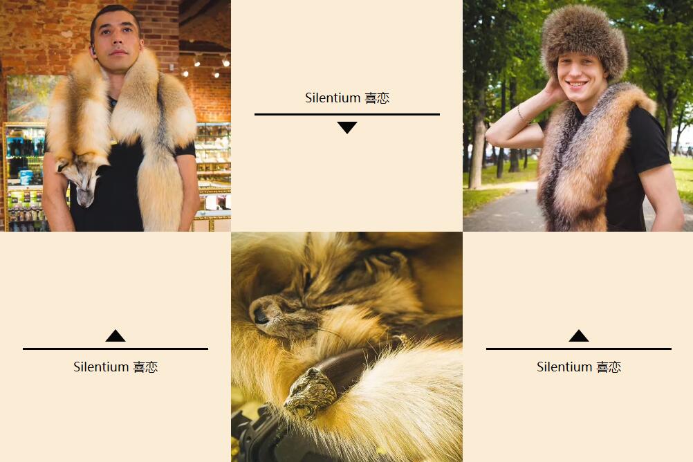 去俄罗斯，推荐买件貂皮带回去！