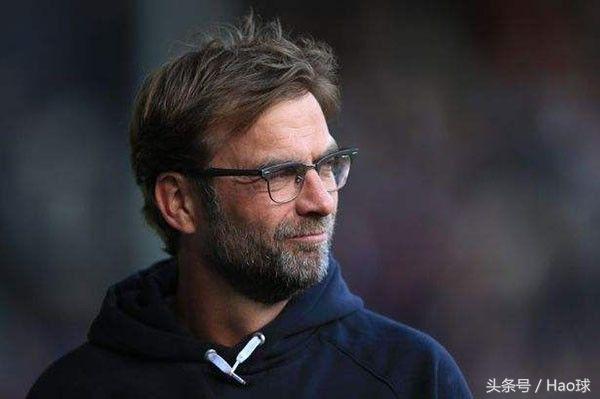 蜜蜂战斗大黄蜂,大黄蜂与蜜蜂的激烈战斗