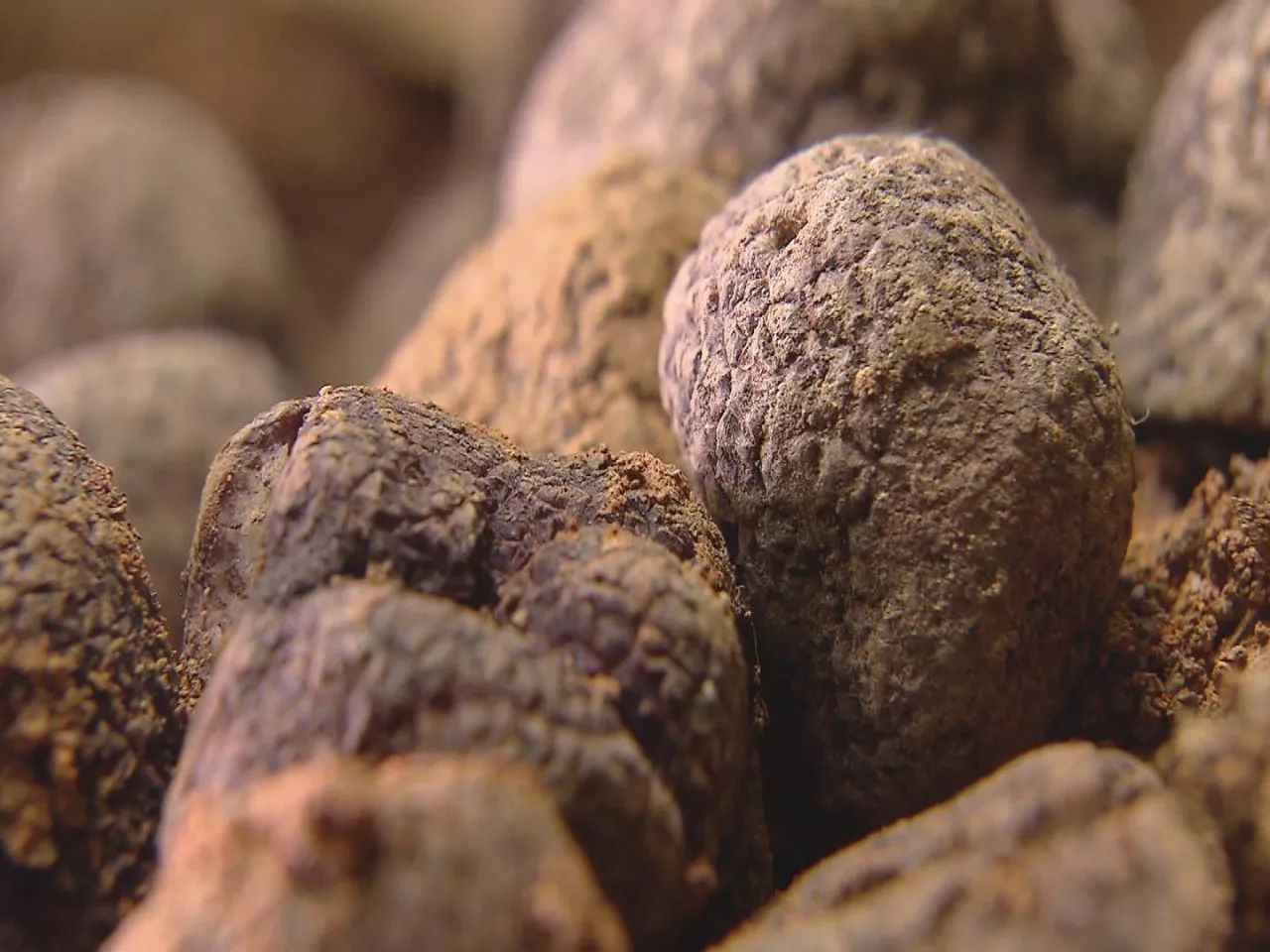 小伙伴们准备好了吗配音,小伙伴们准备好了吗语音