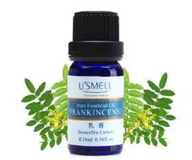 教你认识精油的美妙——乳香精油