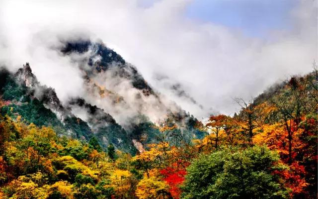 四川看红叶最佳地方自驾游,四川彩林红叶最佳观赏地点