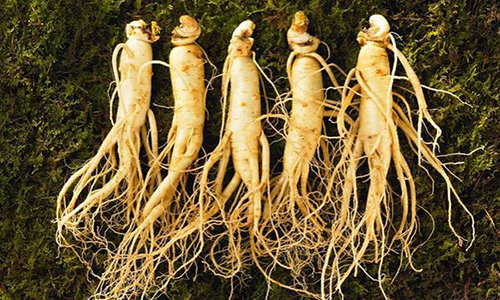 东北七大特产，哪一个才是你心中的NO.1